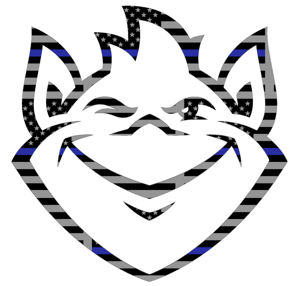 Saint Louis Billikens Team Logo Thin Blue Line American Flag Premium DieCut Vinyl Decal PICK SIZE