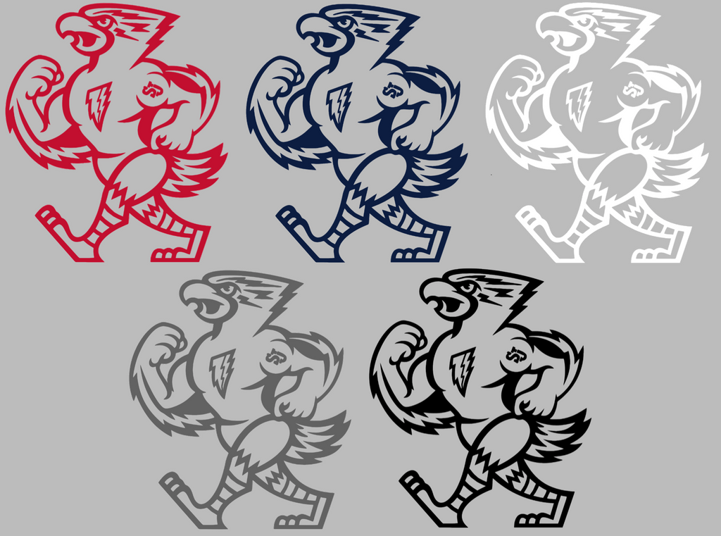 St Johns Red Storm Mascot Logo Premium DieCut Vinyl Decal PICK COLOR & SIZE