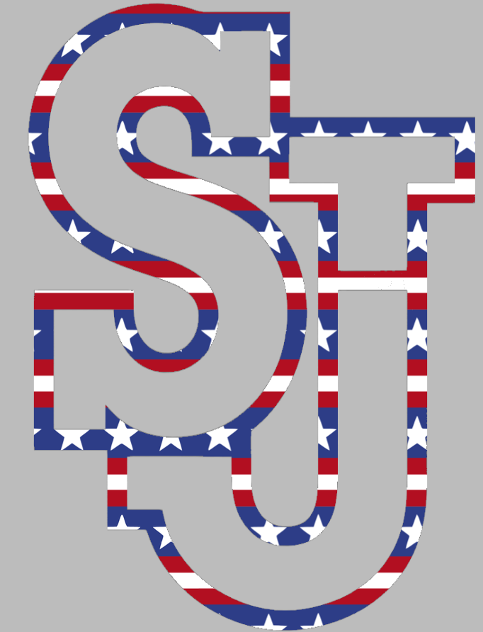St Johns Red Storm Team Logo Stars & Stripes USA American Flag Vinyl Decal PICK SIZE