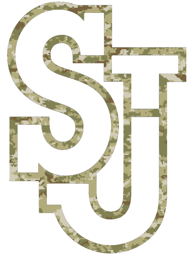 St Johns Red Storm Team Logo Salute to Service Camouflage Camo Vinyl Decal PICK SIZE