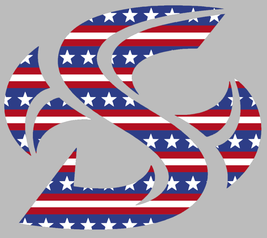 Sacramento State Hornets Team Logo Stars & Stripes USA American Flag Vinyl Decal PICK SIZE