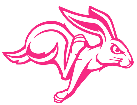 South Dakota State Jackrabbits HOT PINK Team Logo Premium DieCut Vinyl Decal PICK SIZE