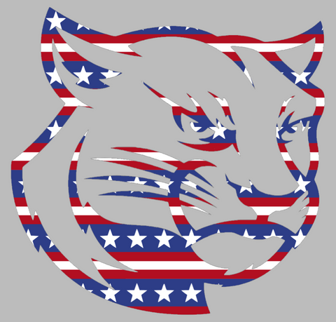 SIU Edwardsville Cougars Team Logo Stars & Stripes USA American Flag Vinyl Decal PICK SIZE