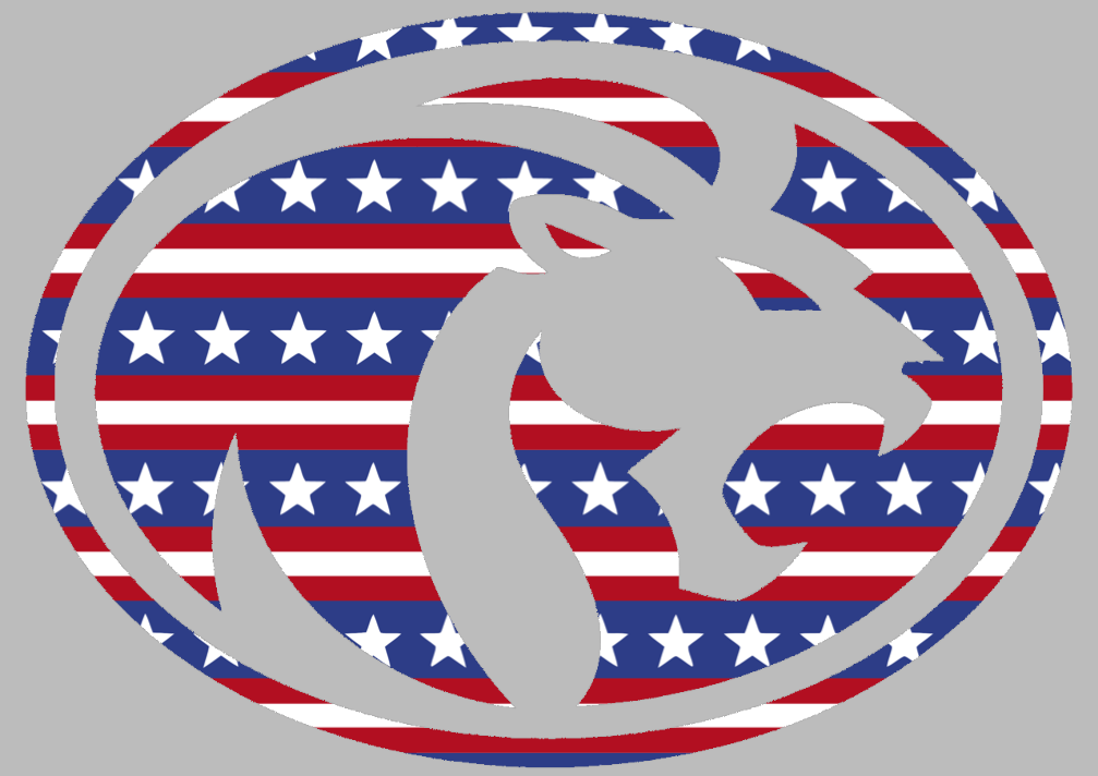 North Alabama Lions Team Logo Stars & Stripes USA American Flag Vinyl Decal PICK SIZE