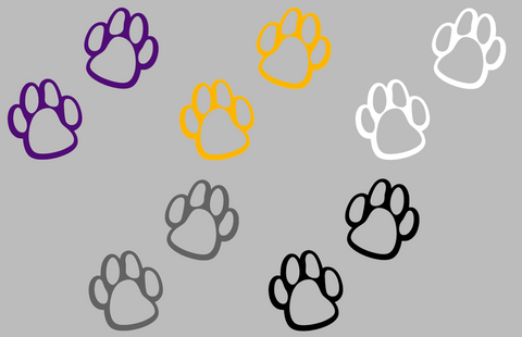 Northern Iowa Panthers Paw Print Logo Premium DieCut Vinyl Decal PICK COLOR & SIZE