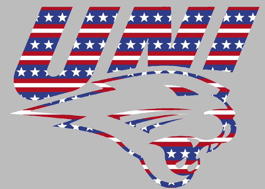 Northern Iowa Panthers Team Logo Stars & Stripes USA American Flag Vinyl Decal PICK SIZE