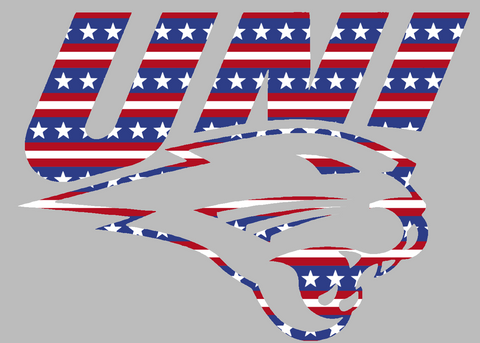 Northern Iowa Panthers Team Logo Stars & Stripes USA American Flag Vinyl Decal PICK SIZE