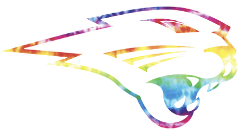 Northern Iowa Panthers Mascot Logo Crucial Catch Cancer Tie Dye Vinyl Decal PICK SIZE