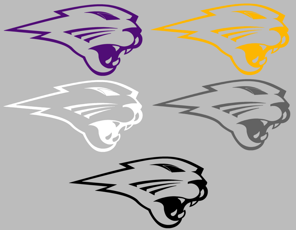 Northern Iowa Panthers Mascot Logo Premium DieCut Vinyl Decal PICK COLOR & SIZE