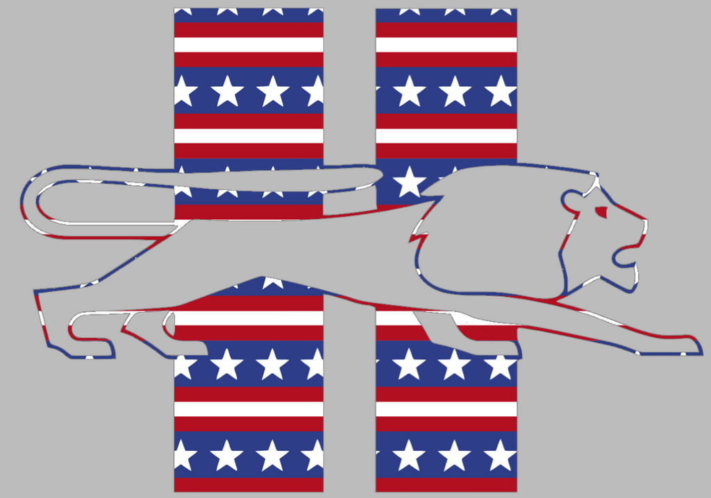 Detroit Lions Stars & Stripes Retro Throwback Logo USA American Flag Vinyl Decal PICK SIZE