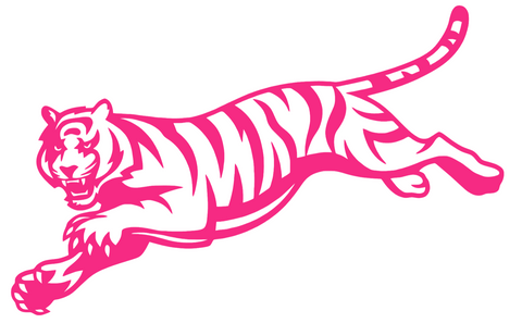 Cincinnati Bengals Hot Pink Retro Throwback Logo Premium DieCut Vinyl Decal PICK SIZE