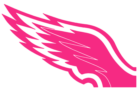Philadelphia Eagles HOT PINK Wings Logo Premium DieCut Vinyl Decal PICK SIZE