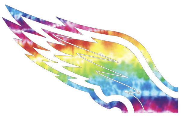 Philadelphia Eagles Crucial Catch Cancer Wings Logo Tie Dye Vinyl Decal PICK SIZE