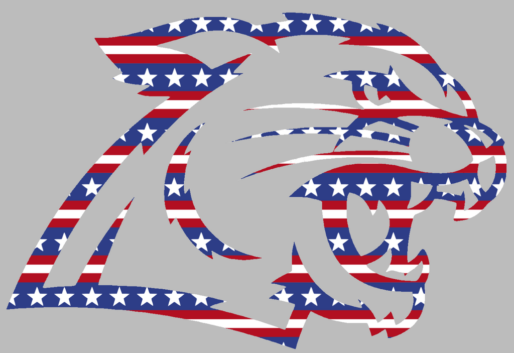 Northern Michigan Wildcats Mascot Logo Stars & Stripes USA American Flag Vinyl Decal PICK SIZE
