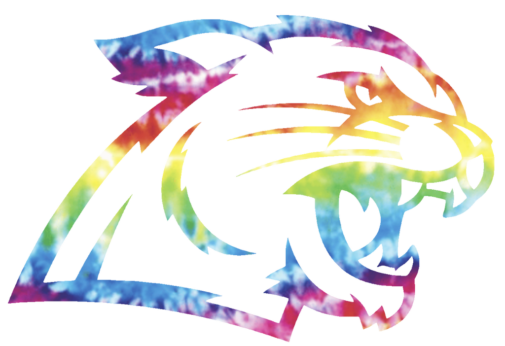 Northern Michigan Wildcats Mascot Logo Crucial Catch Cancer Tie Dye Vinyl Decal PICK SIZE