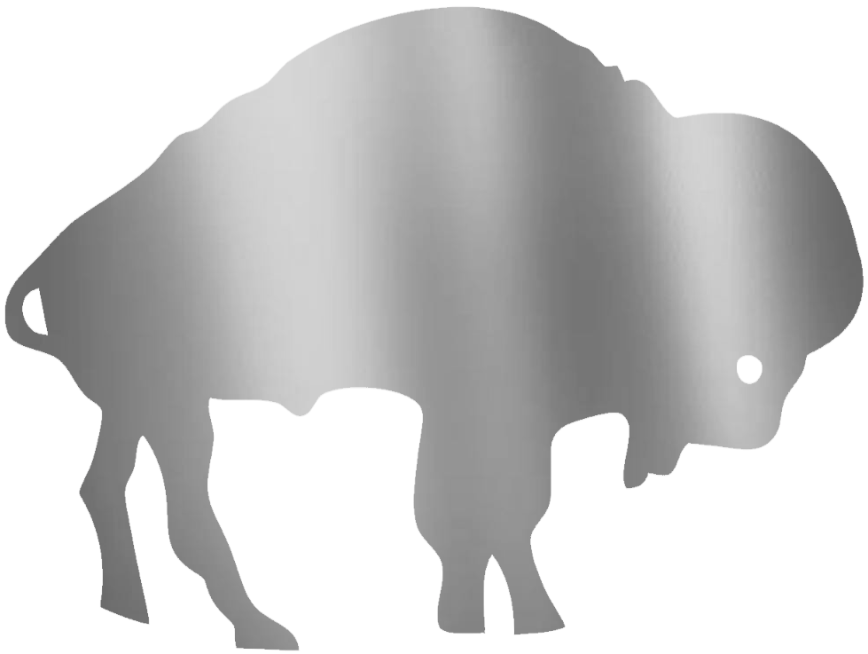Buffalo Bills SILVER CHROME MIRROR Retro Logo Premium DieCut Vinyl Decal PICK SIZE
