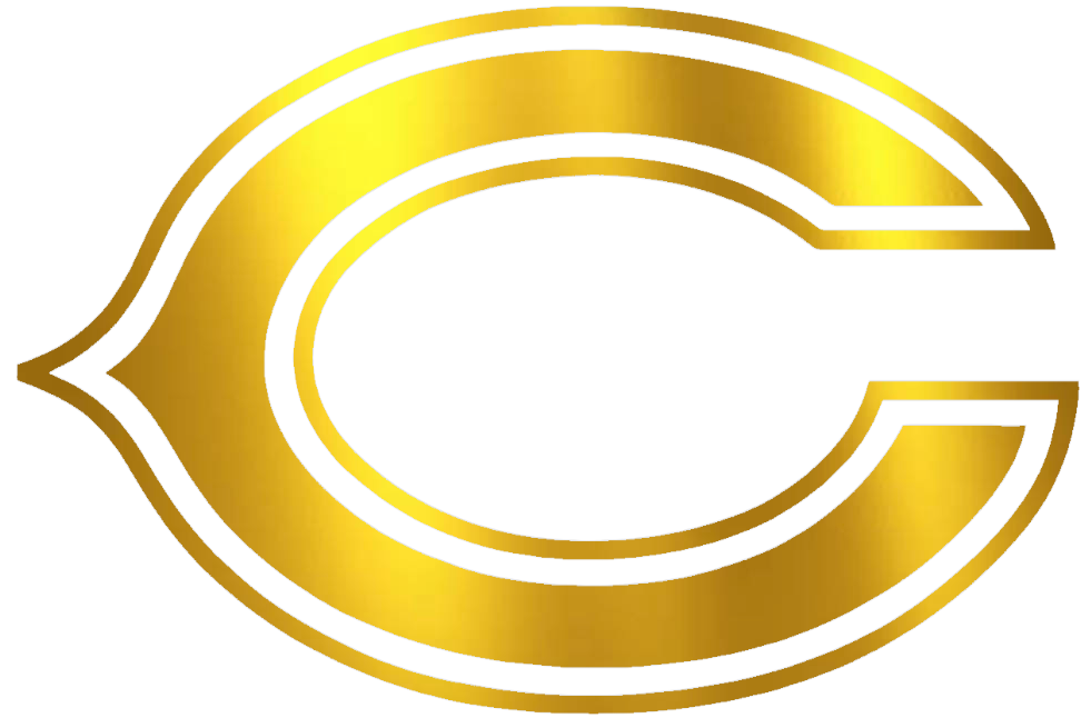 Chicago Bears GOLD CHROME MIRROR Team Logo Premium DieCut Vinyl Decal PICK SIZE