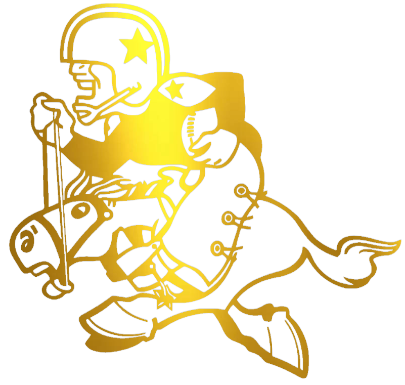 Dallas Cowboys GOLD CHROME MIRROR Retro Throwback Logo Premium DieCut Vinyl Decal PICK SIZE