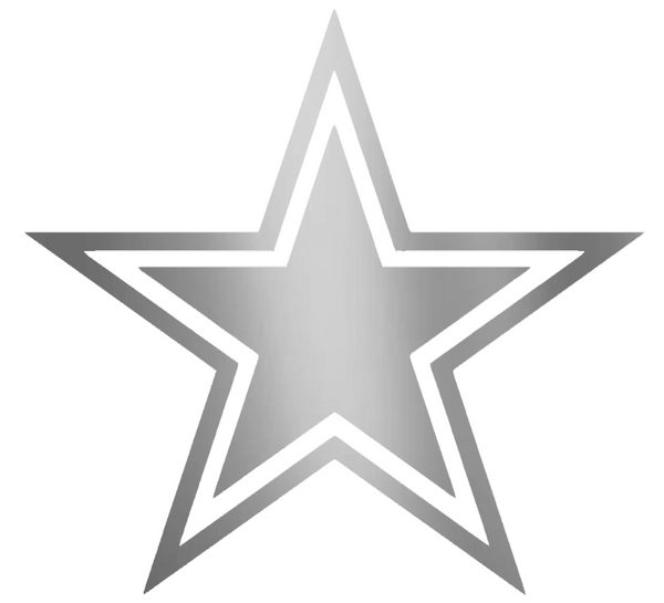 Dallas Cowboys SILVER CHROME MIRROR Team Logo Premium DieCut Vinyl Decal PICK SIZE