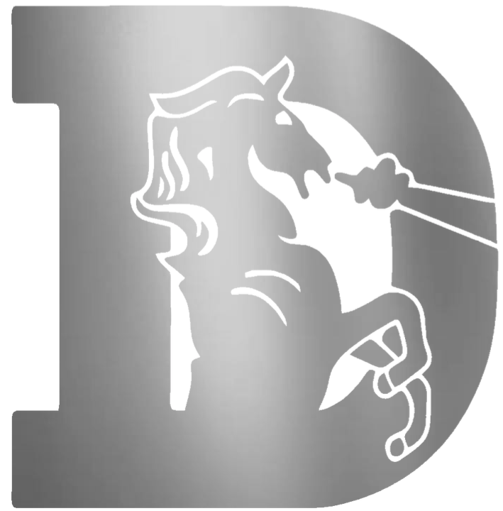 Denver Broncos SILVER CHROME MIRROR Retro Throwback Logo Premium DieCut Vinyl Decal PICK SIZE