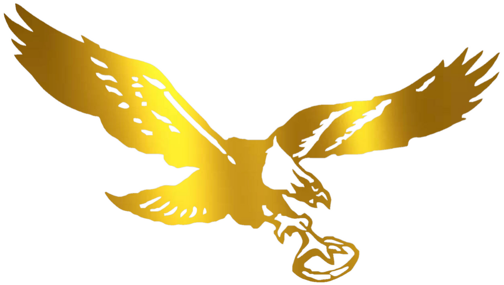 Philadelphia Eagles GOLD CHROME MIRROR Retro Throwback Logo Premium DieCut Vinyl Decal PICK SIZE
