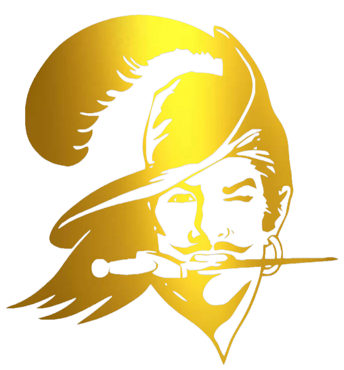 Tampa Bay Buccaneers GOLD CHROME MIRROR Retro Throwback Logo Premium DieCut Vinyl Decal PICK SIZE