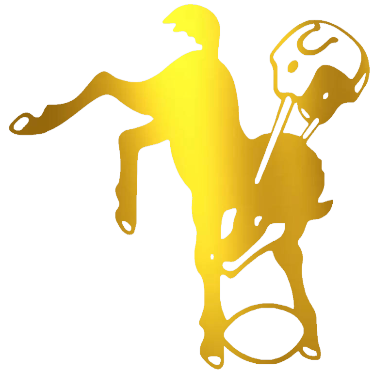 Indianapolis Colts GOLD CHROME MIRROR Retro Throwback Logo Premium DieCut Vinyl Decal PICK SIZE