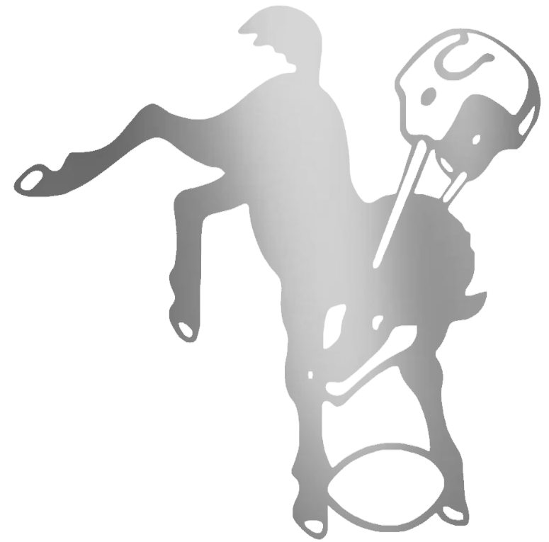 Indianapolis Colts SILVER CHROME MIRROR Retro Throwback Logo Premium DieCut Vinyl Decal PICK SIZE