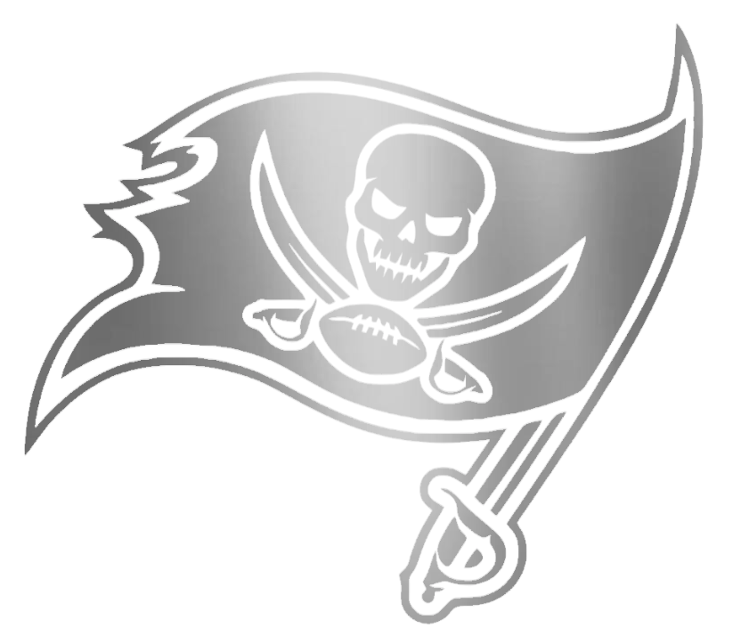 Tampa Bay Buccaneers SILVER CHROME MIRROR Team Logo Premium DieCut Vinyl Decal PICK SIZE