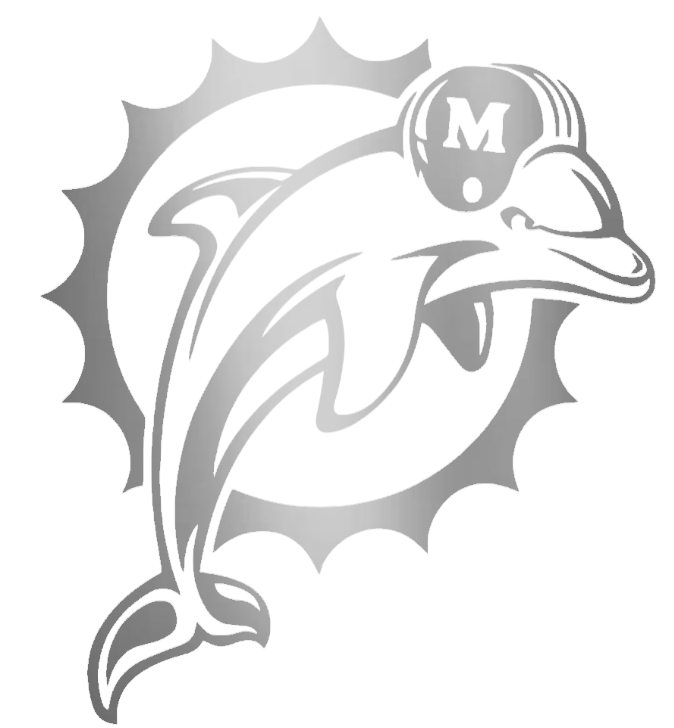 Miami Dolphins Silver Chrome Mirror Retro Throwback Logo Premium DieCut Vinyl Decal PICK SIZE