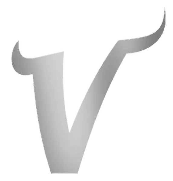 Minnesota Vikings SILVER CHROME MIRROR V Logo Premium DieCut Vinyl Decal PICK SIZE