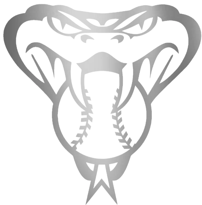 Arizona Diamondbacks SILVER CHROME MIRROR Alternate Snake Head Logo Premium DieCut Vinyl Decal PICK SIZE