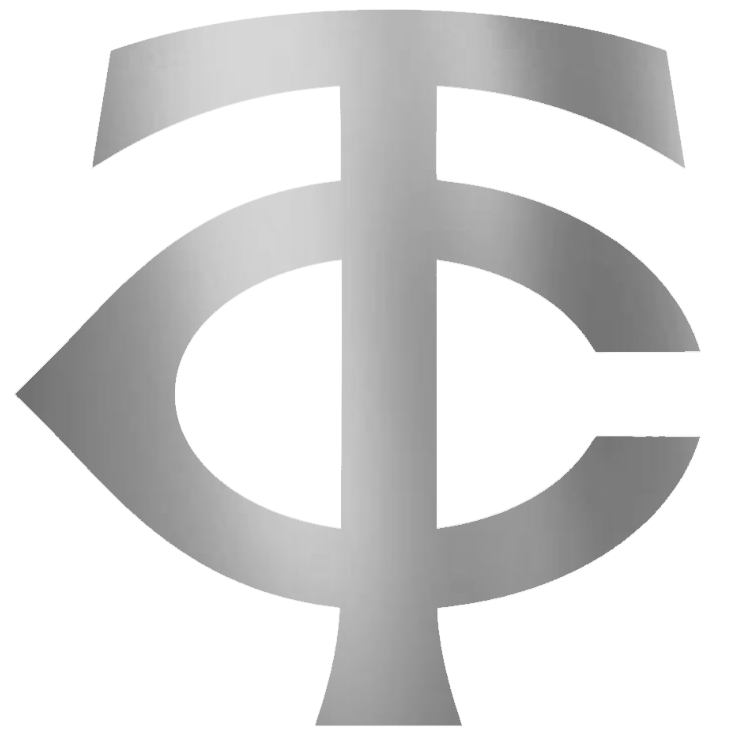 Minnesota Twins SILVER CHROME MIRROR Team Logo Premium DieCut Vinyl Decal PICK SIZE