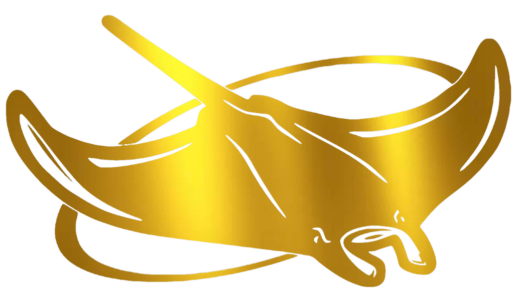 Tampa Bay Devil Rays GOLD CHROME MIRROR Team Logo Premium DieCut Vinyl Decal PICK SIZE