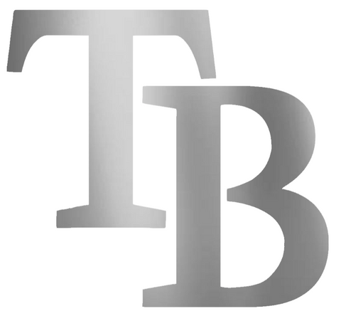 Tampa Bay Rays SILVER CHROME MIRROR Team Logo Premium DieCut Vinyl Decal PICK SIZE