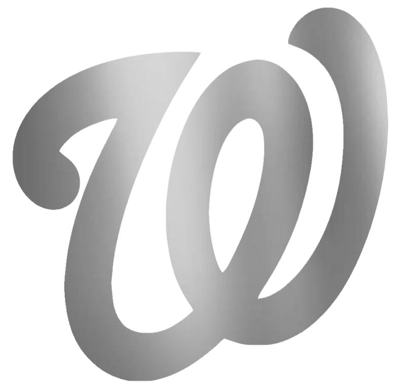 Washington Nationals SILVER CHROME MIRROR Team Logo Premium DieCut Vinyl Decal PICK SIZE