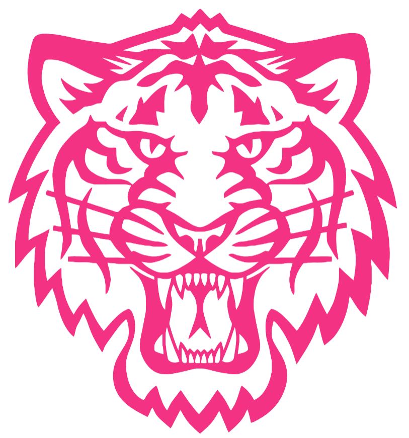 Detroit Tigers Hot Pink City Connect Team Logo Premium DieCut Vinyl Decal PICK SIZE