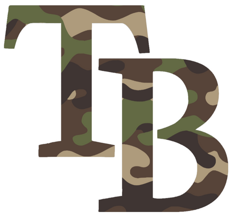 Tampa Bay Rays Woodland Camo Camouflage Team Logo Premium DieCut Vinyl Decal PICK SIZE