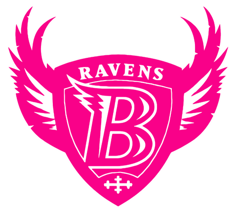 Baltimore Ravens HOT PINK Retro Throwback Logo Premium DieCut Vinyl Decal PICK SIZE