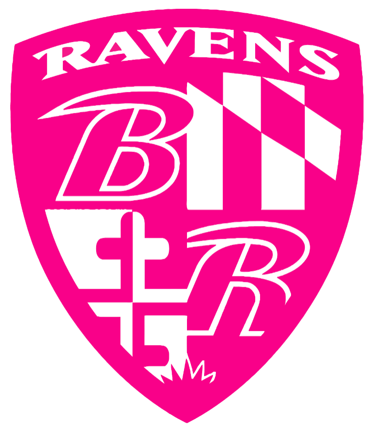Baltimore Ravens HOT PINK Crest Logo Premium DieCut Vinyl Decal PICK SIZE