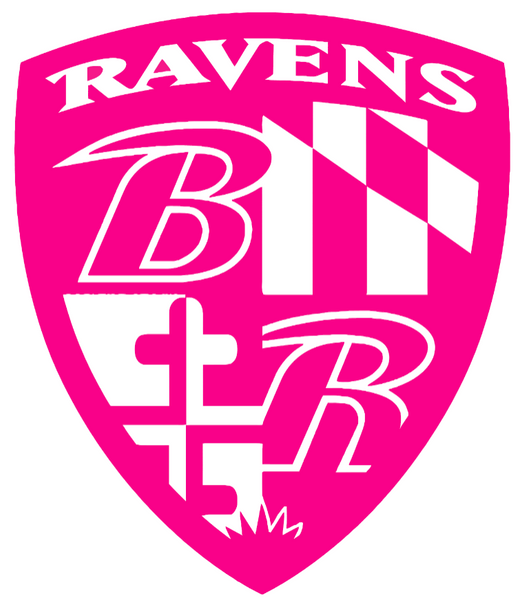 Baltimore Ravens HOT PINK Crest Logo Premium DieCut Vinyl Decal PICK SIZE