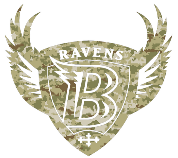 Baltimore Ravens Retro Throwback Logo Salute to Service Camouflage Camo Vinyl Decal PICK SIZE