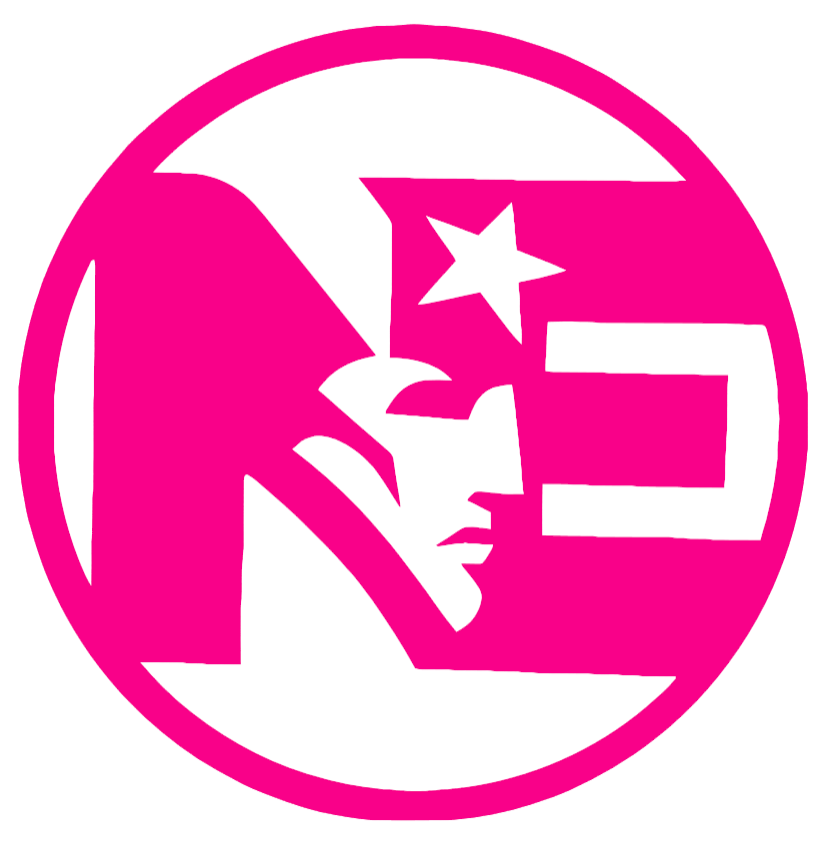 New England Patriots Hot Pink NE Logo Premium DieCut Vinyl Decal PICK SIZE