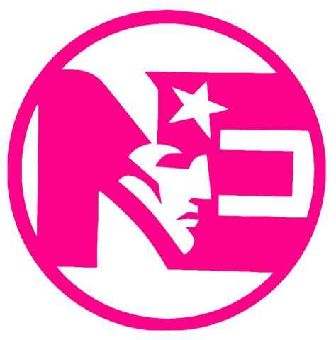 New England Patriots Hot Pink NE Logo Premium DieCut Vinyl Decal PICK SIZE