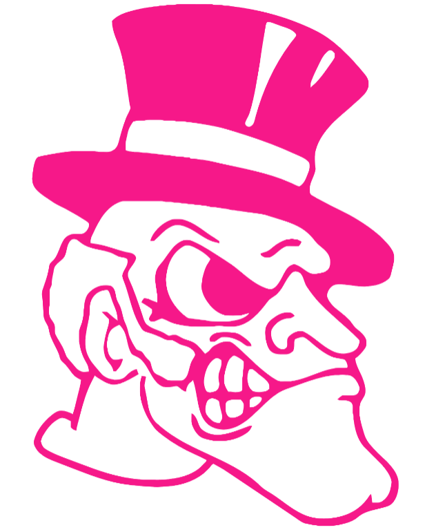 Wake Forest Demon Deacons HOT PINK Retro Throwback Logo Premium DieCut Vinyl Decal PICK SIZE