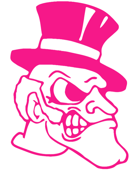 Wake Forest Demon Deacons HOT PINK Retro Throwback Logo Premium DieCut Vinyl Decal PICK SIZE