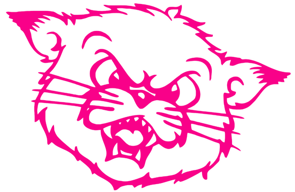 Cincinnati Bearcats Hot Pink Retro Throwback Logo Premium DieCut Vinyl Decal PICK SIZE