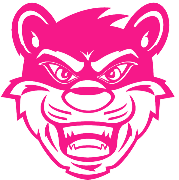 Cincinnati Bearcats Hot Pink Mascot Logo Premium DieCut Vinyl Decal PICK SIZE