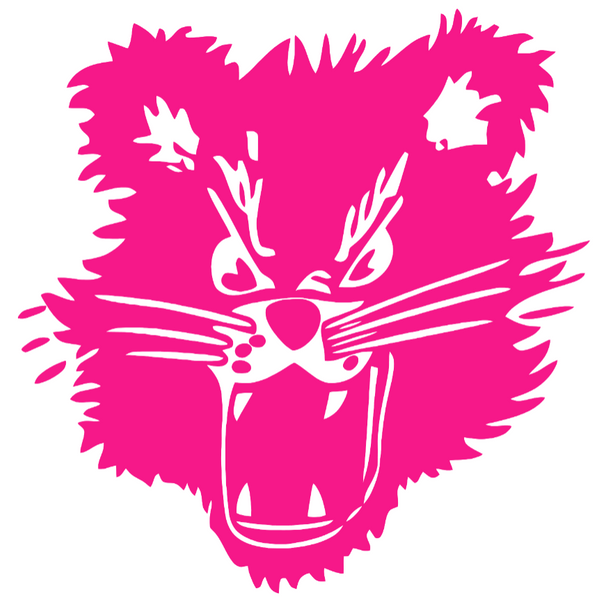 Cincinnati Bearcats Hot Pink Retro Throwback Logo Premium DieCut Vinyl Decal PICK SIZE