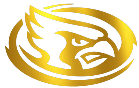 Iowa State Cyclones GOLD CHROME MIRROR Mascot Logo Premium DieCut Vinyl Decal PICK SIZE